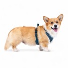 Woolly Wolf Roam Sele, Deep Teal Ripple thumbnail