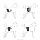 FinNero JustinCase Magebelte til Hannhund, Ocean Black thumbnail