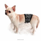 FinNero JustinCase Magebelte til Hannhund, Ocean Black thumbnail
