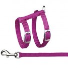 JollyPaw Sele med Line, 22 - 42 cm thumbnail