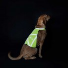 Hunter Waist Coat, Refleksvest, Gul thumbnail