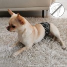 FinNero JustinCase Magebelte til Hannhund, Ocean Black thumbnail