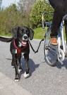 Trixie Biker-Set De Luxe, Sykkelsett (1287) thumbnail