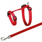 JollyPaw Sele med Line, 34 - 57 cm thumbnail