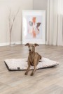 Trixie Calida Liggeunderlag med Varmereflekterende Innlegg, 60 × 45 cm thumbnail
