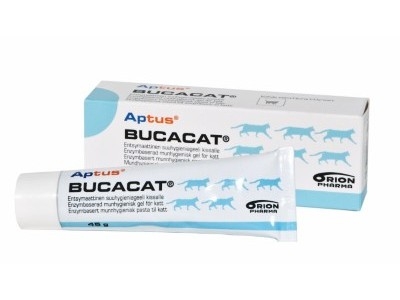 Aptus Bucacat Tannpasta