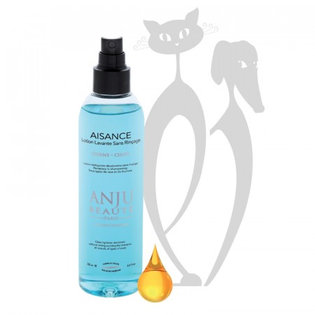 Anju Beauté Aisance Dryshampoo