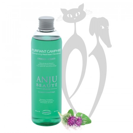 Anju Beauté Purifiant Camphre Shampoo, 250 ml  -  EXP. dato 22.05.21