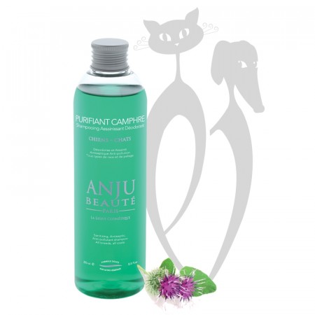 Anju Beauté Purifiant Camphre Shampoo, 250 ml - EXP. dato 22.05.21
