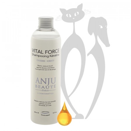 Anju Beauté Vital Force Shampoo, 250 ml