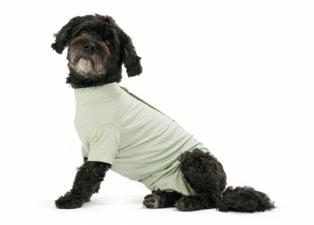 Buster Body Suit Step'n Go for Hunder, Dusty Green