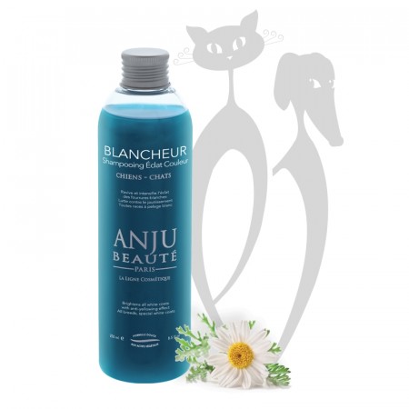 Anju Beauté Blancheur Shampoo, 500 ml