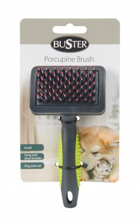Buster Pinnsvin Karde