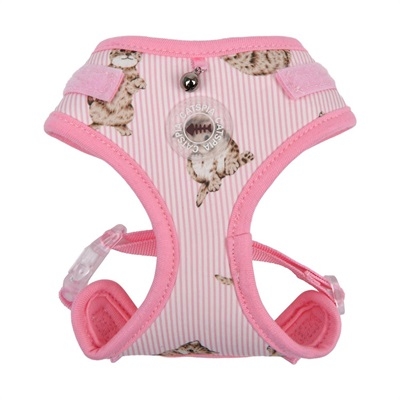 Catspia Moggy Superior A Sele, Rosa