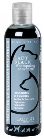 Ladybel Lady Black Shampoo