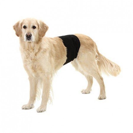 Magebelte til hannhund