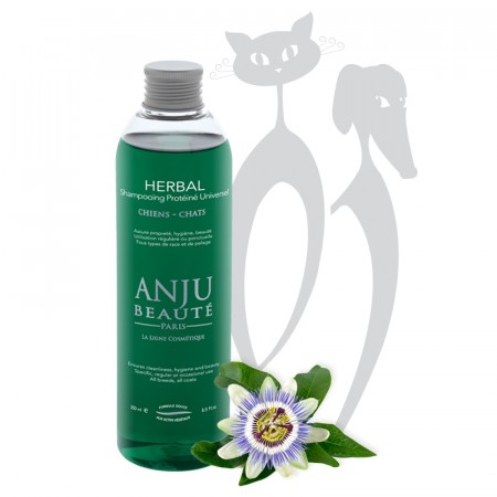 Anju Beauté Herbal Shampoo, 500 ml