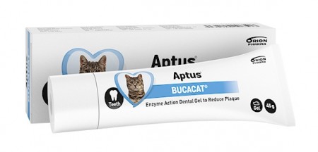 Aptus Bucacat Tannpasta