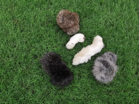 OrganicatToys Prøvepakke