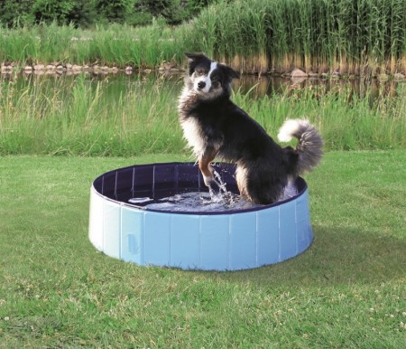 Hundebasseng, Vannspreder